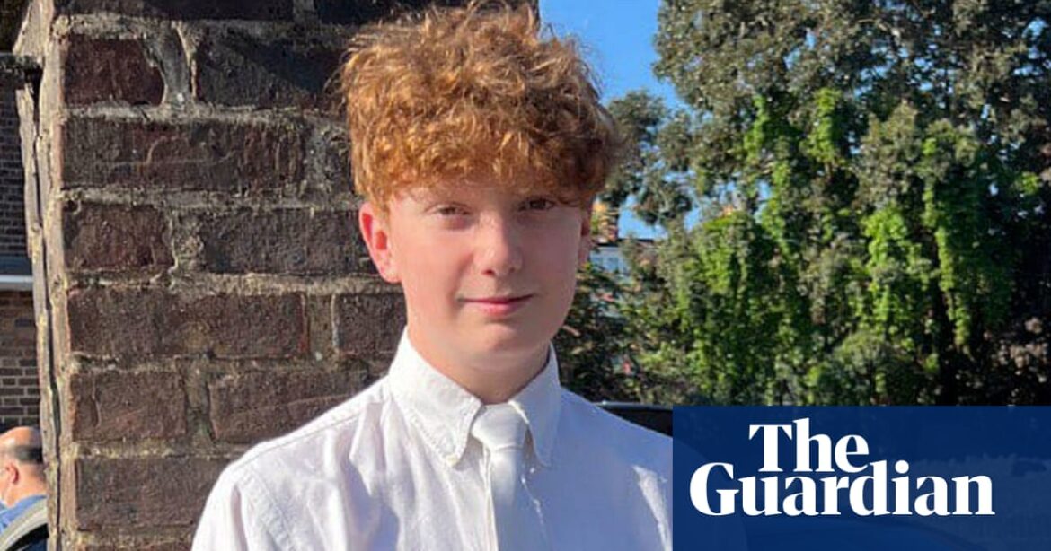 A sixteen-year-old male is facing charges for the murder of Harry Pitman and was seen crying in court.