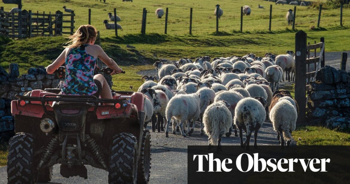 British government officials backtrack on statement that quad bike roll bars actually raise risk of injury.