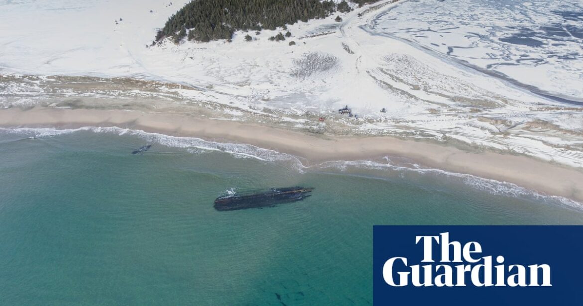 “Curious to discover”: unknown shipwreck suddenly appears on the coast of Newfoundland.