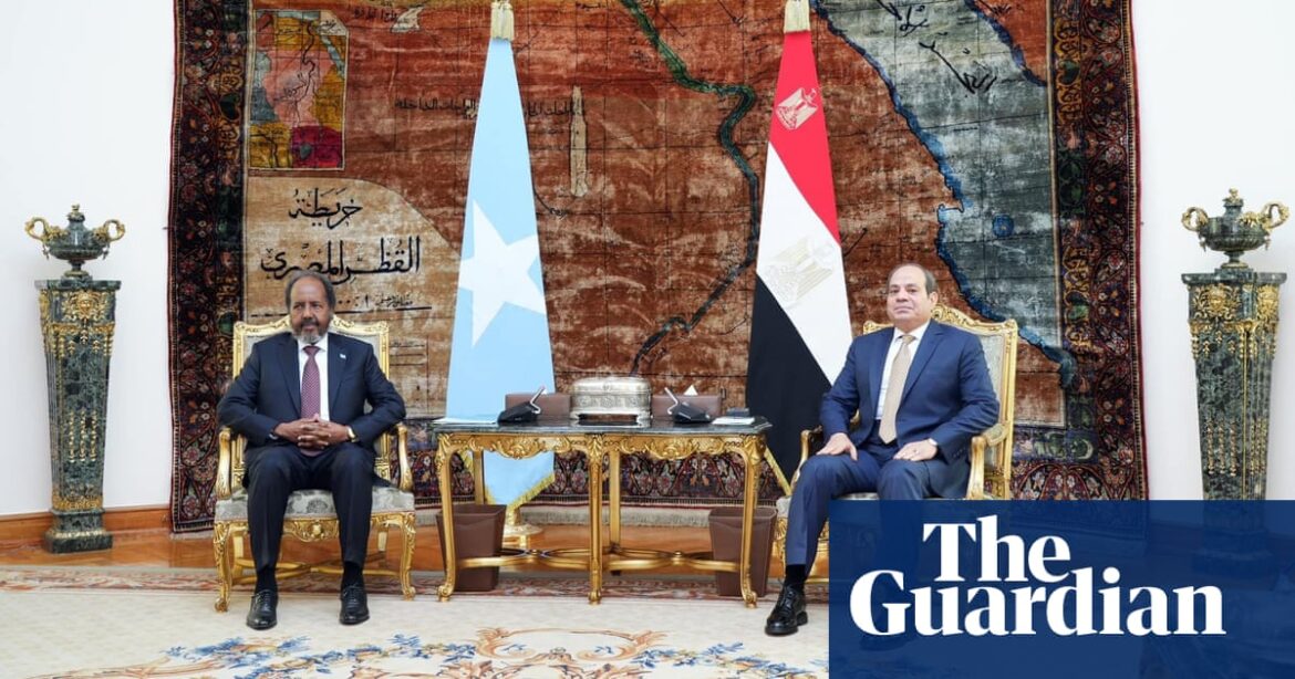 Egypt backs Somalia in dispute over Ethiopia-Somaliland deal