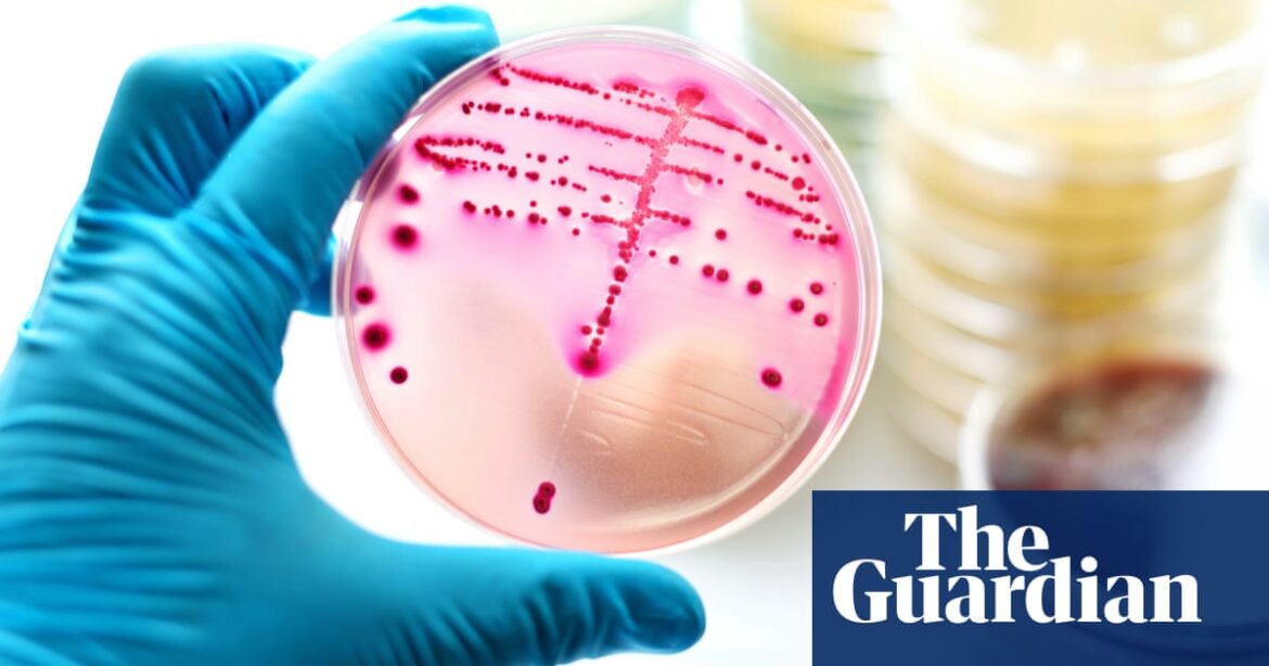 In England and Wales, there has been an increase in the number of cases of gonorrhea reported in almost all council areas.