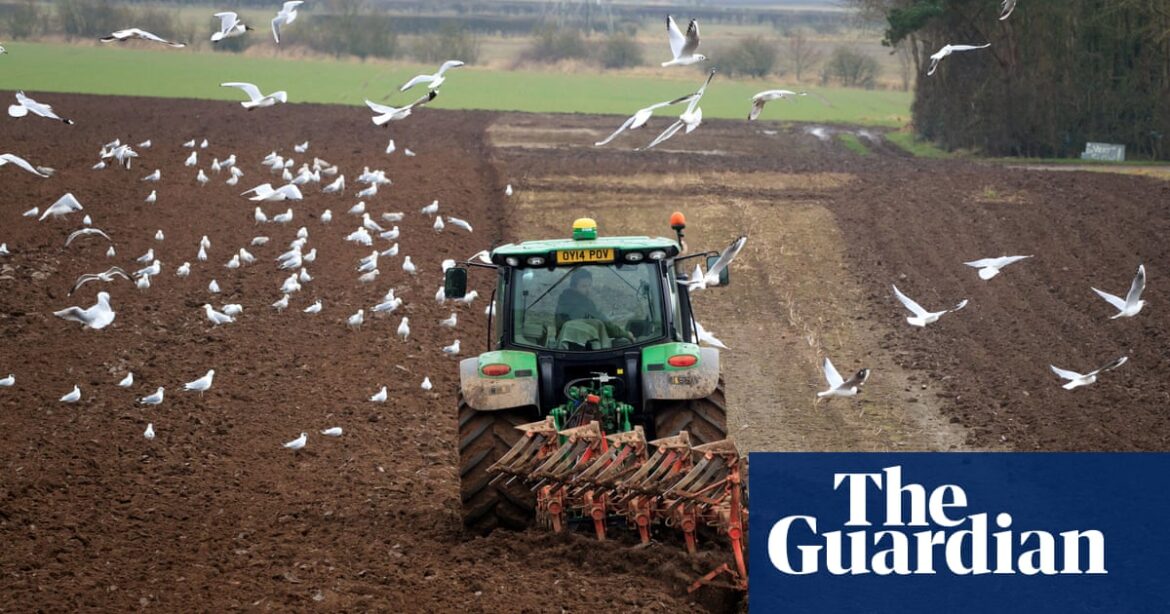 The Labour party promises a “new deal” to support UK farmers and enhance the country’s agriculture industry.