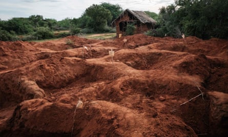 The leader of a death cult in Kenya has been arrested and charged following the discovery of hundreds of deceased individuals in a forest.