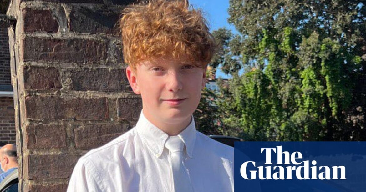 The victim of a fatal stabbing in London has been identified as Harry Pitman, a teenager.