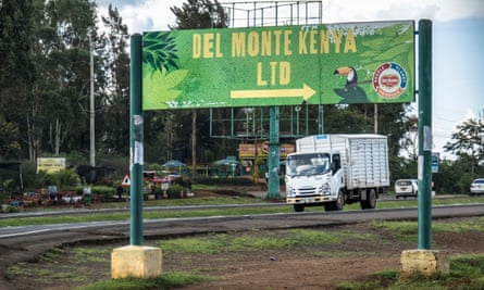 A large green sign with the words ‘Del Monte Kenya Ltd’ and an arrow in yellow by the side of a highway