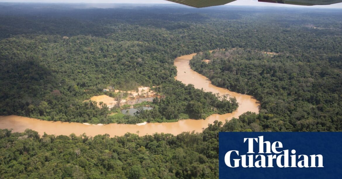 Scientists are warning that the Amazon rainforest may reach a critical “tipping point” by the year 2050. This means that the rainforest could undergo irreversible changes and potentially lead to its destruction.

Researchers are cautioning that the Amazon rainforest may reach a crucial “turning point” by 2050, as they predict it could experience permanent alterations that could ultimately result in its downfall.