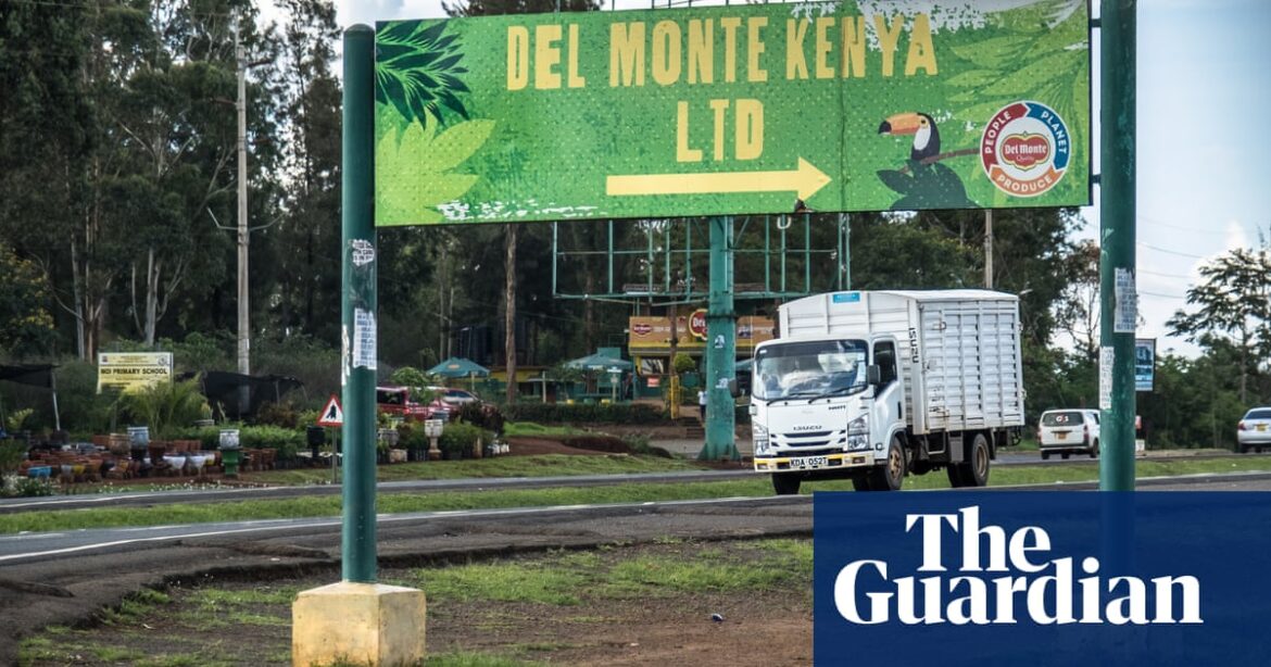 A Del Monte farm in Kenya is looking for a manager to oversee human rights issues following allegations of violence.