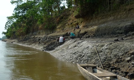 A team of researchers have discovered the remains of a gigantic prehistoric dolphin in the Amazon.