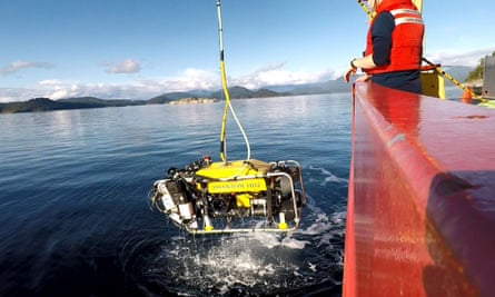 Canada takes action to safeguard a coral reef that experts claim “shouldn’t even exist”.