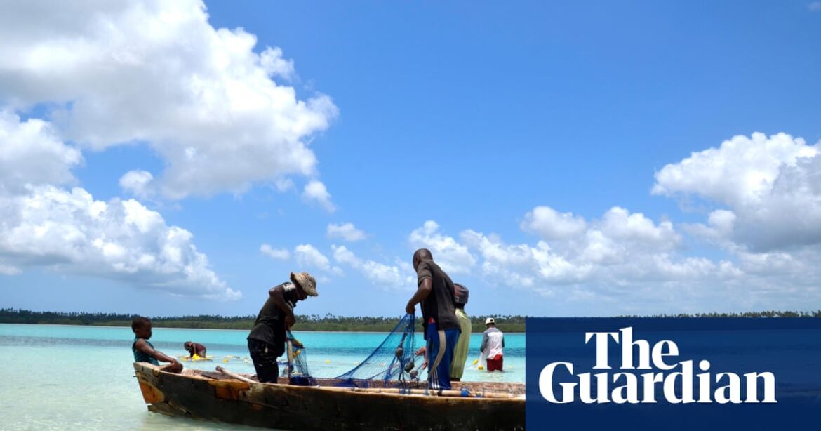 Eight kids and one grown-up perish in Zanzibar following consumption of sea turtle flesh.