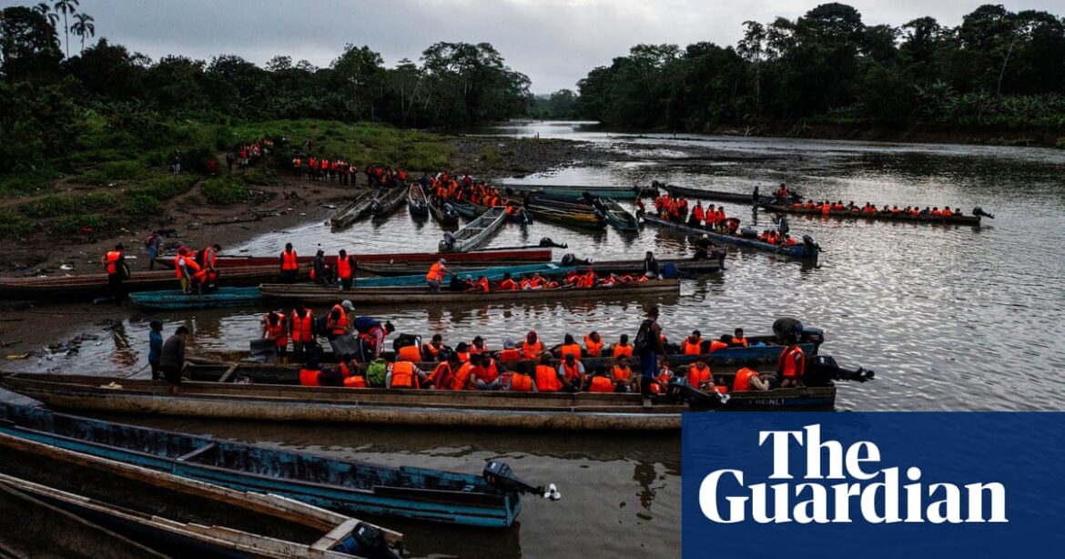 The Panamanian government has instructed MSF to cease providing medical care to individuals who have crossed the dangerous Darién Gap.