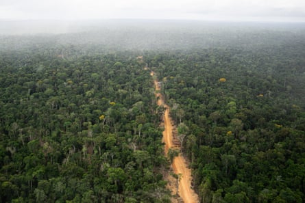 Network of ‘ghost roads’ paves the way for levelling Asia-Pacific rainforests