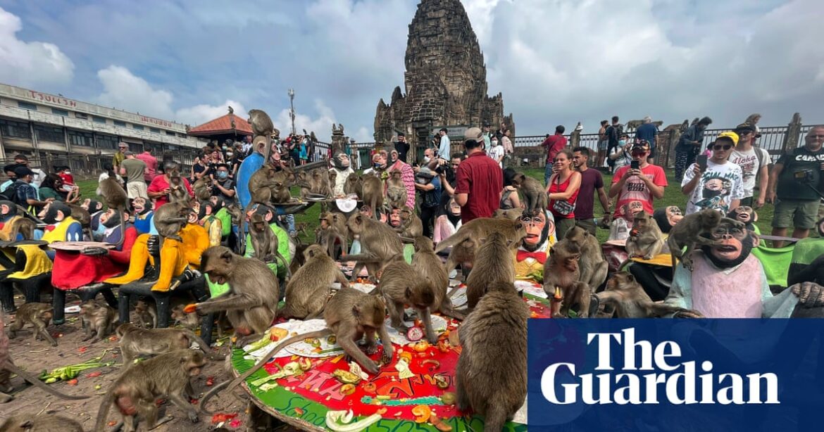 No more monkey business: Thai city’s macaques to be put in enclosures