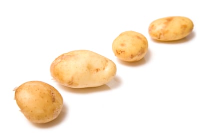 Jersey royal potatoes
