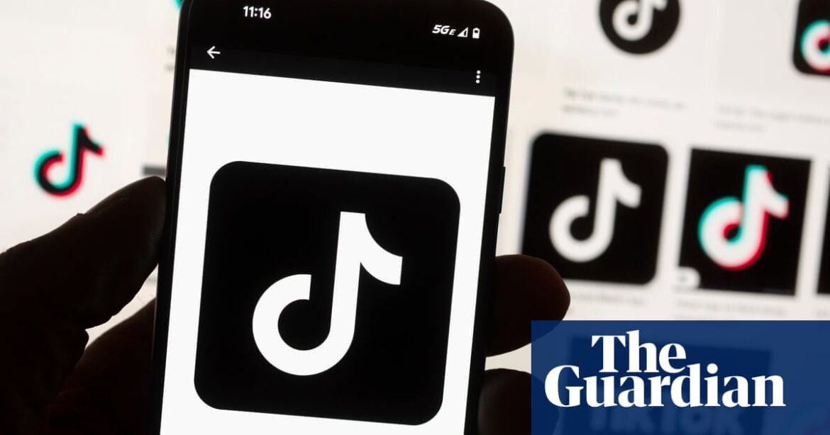Use TikTok to combat misinformation, MPs tell government