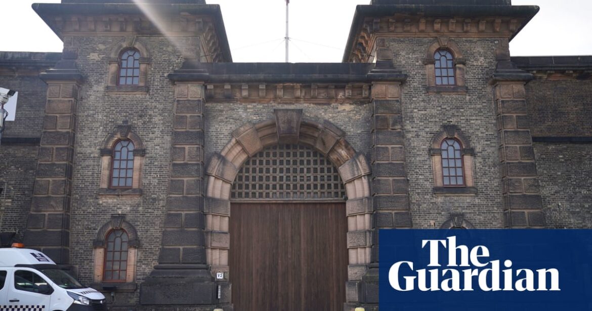 Domestic abuse survivors ‘put in danger by early prison release of perpetrators’