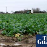 Farmer confidence at lowest in England and Wales since survey began, NFU says