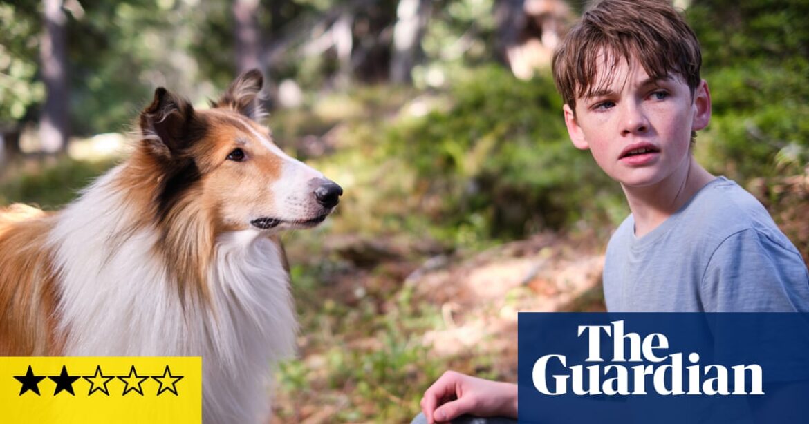 Lassie: A New Adventure review – wholesome quaint family fun with no surprises