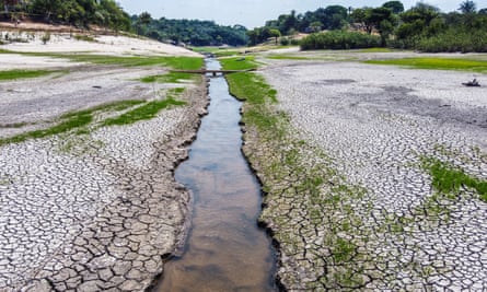 The Amazon’s Rio Negro tributary is seen as a thin strip of water with an expanse of dried, cracked mud on each side; a small makeshift wooden bridge crosses the stream and trees and a farmhouse can be seen in the background. 