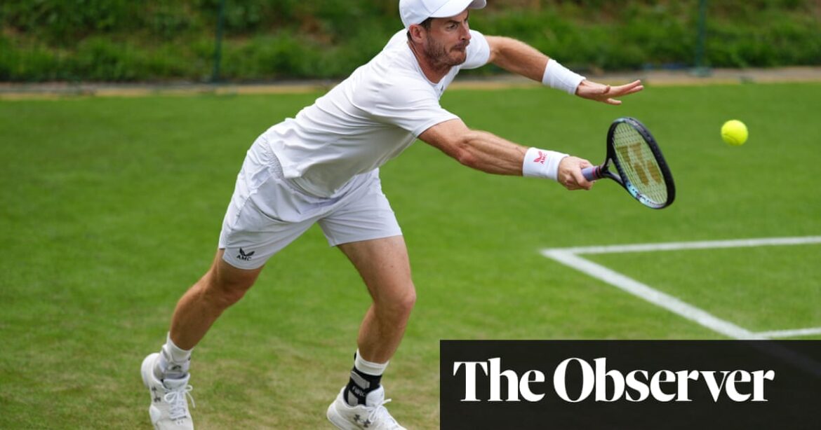 Andy Murray returns to court willing to risk back injury for one final Wimbledon