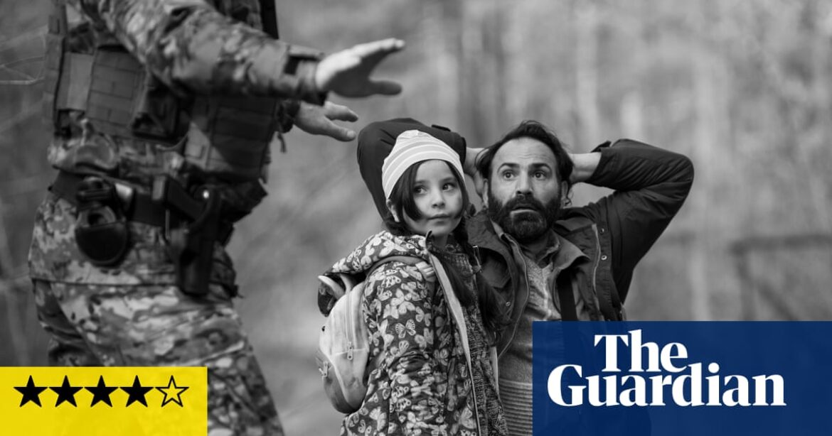 Green Border review – gripping story of refugees’ fight for survival in the forest