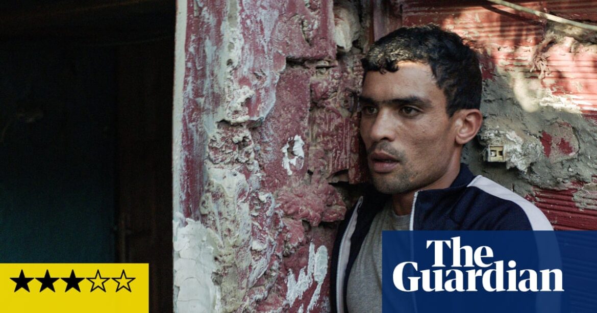 Hounds review – pitch-black comedy drama of hapless Moroccan dog-fighting hoodlums