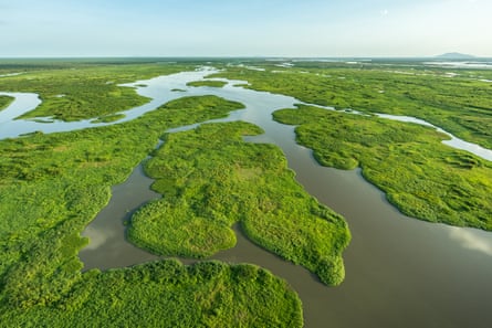 The White Nile, seen from the air, runs along the western side of Badingilo national park.