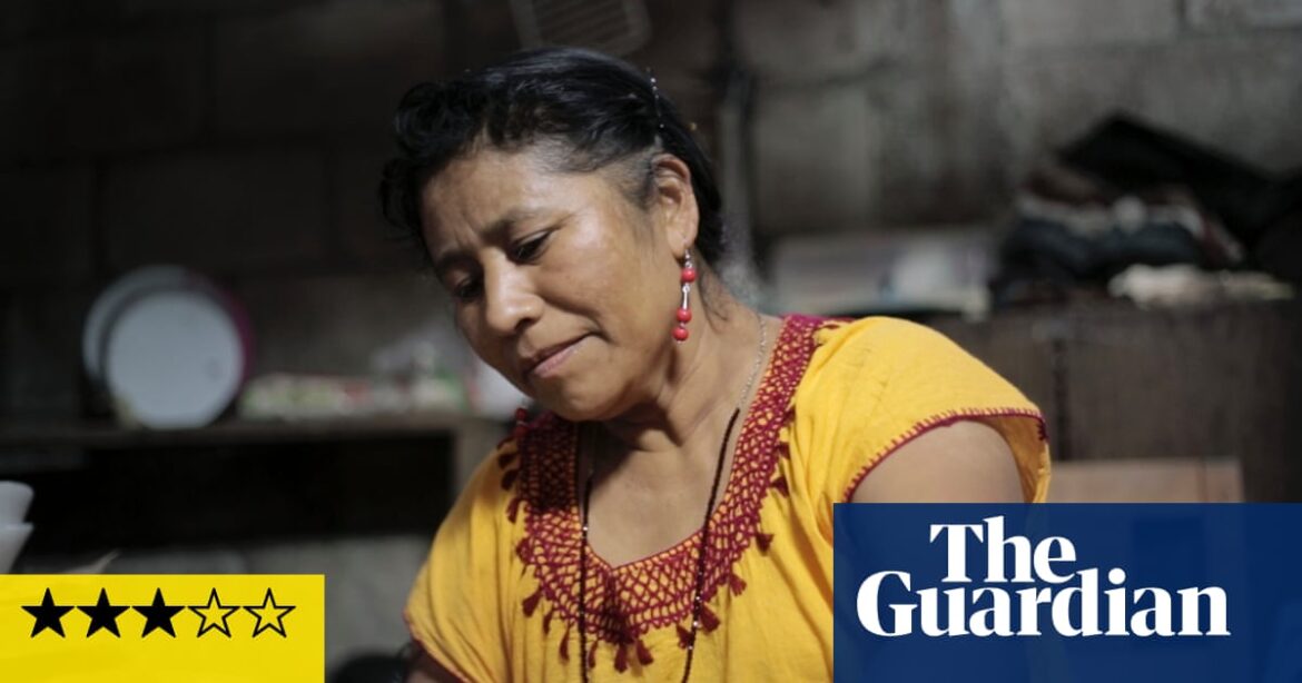 Mom review – Indigenous Mexican woman contemplates the price of a machismo society