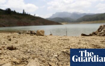 ‘Whack-a-mole situation’: Algerian officials wrestle with water shortage anger