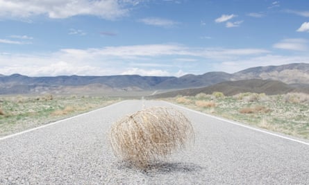 Tumbleweed