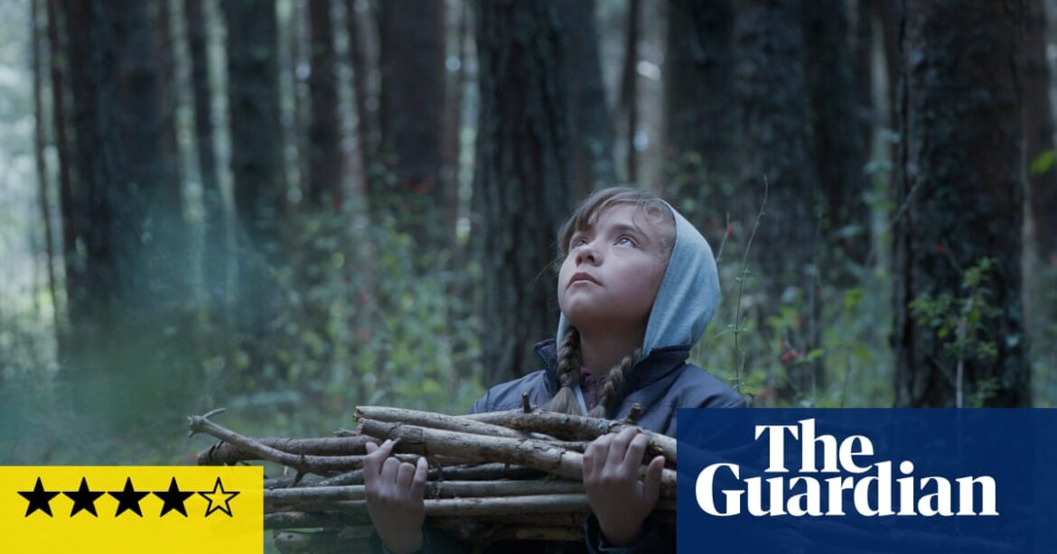 The Echo review – heightened reality in the backwoods of Mexico