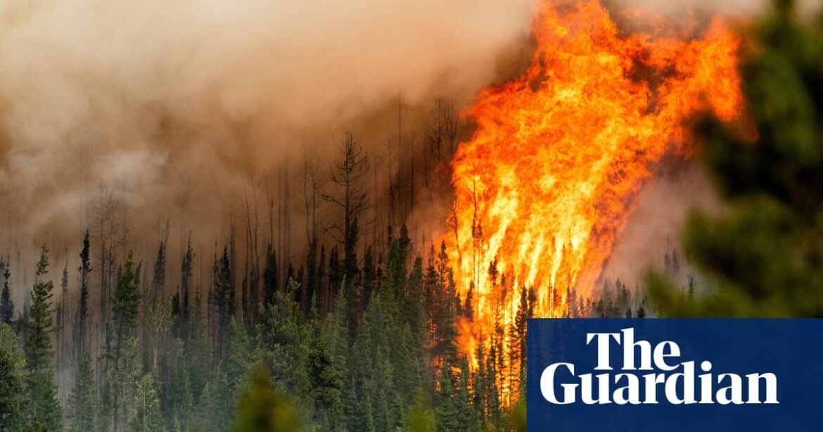 Canada’s 2023 wildfires produced nearly a decade’s worth of blaze emissions