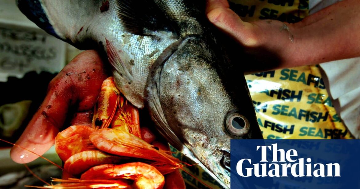 Britons struggle to name common fish, survey shows