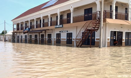 Crocodiles and snakes ‘washed into communities’ as flood hits Nigerian zoo