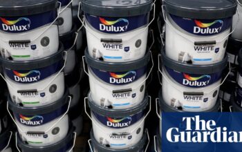 Dulux owner AkzoNobel to cut 2,000 jobs worldwide