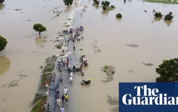 Flood warnings in Nigeria over release of water from Cameroon dam