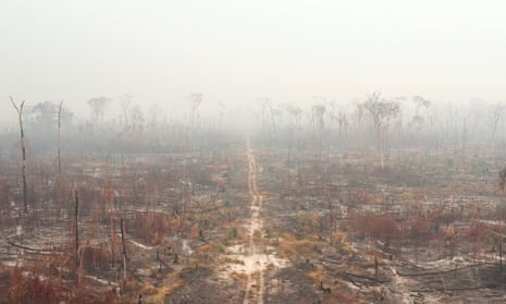 burnt woodland partly obscured by smoke