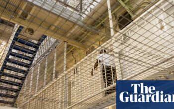 Ministers dismiss claim UK government may rent prison space in Estonia