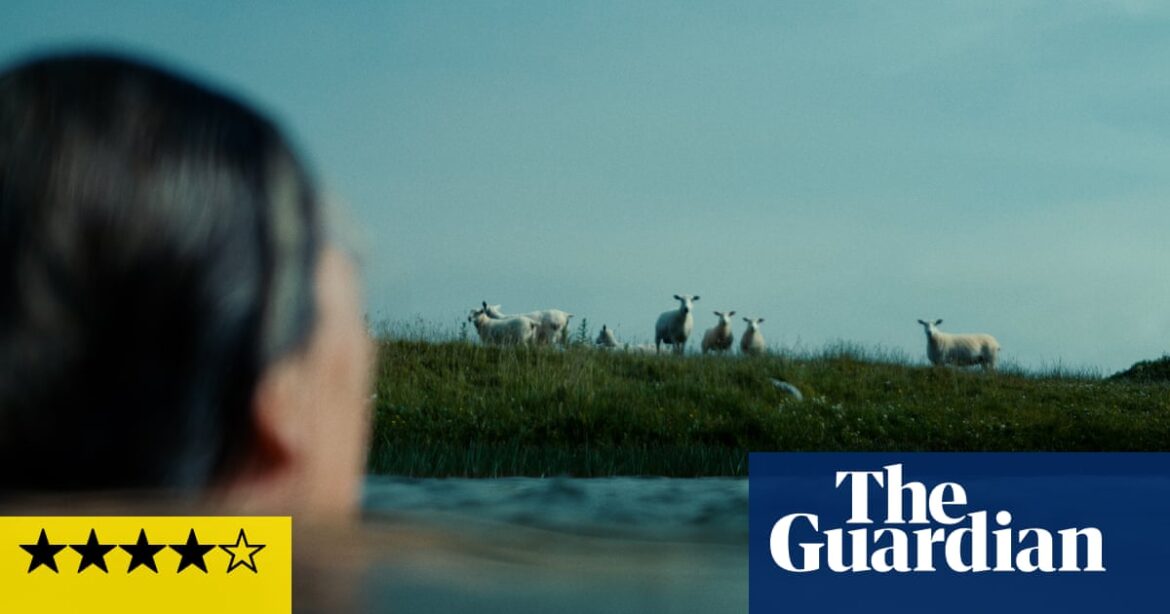 Notes from Sheepland review – lovely portrait of artist-farmer who only has eyes for sheep