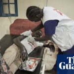 South Sudan medics trial AI app to identify snakes and improve bite treatment