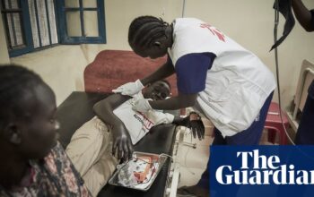 South Sudan medics trial AI app to identify snakes and improve bite treatment