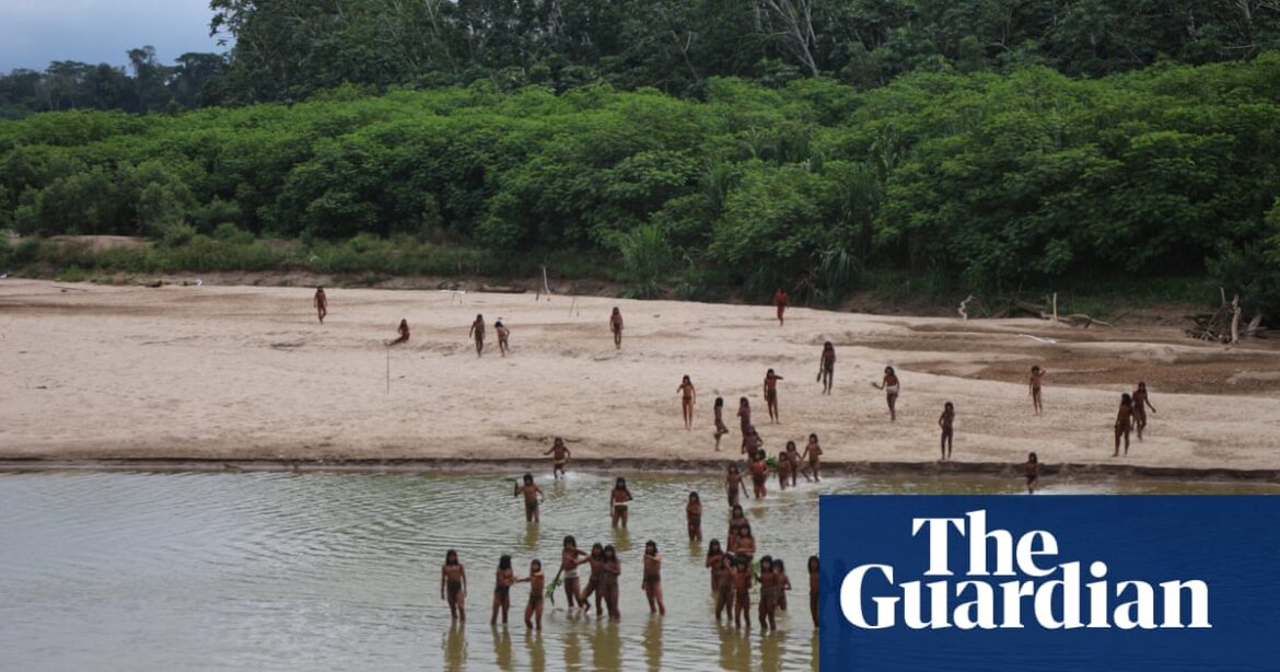 Two loggers shot dead with arrows in clash with Indigenous group in Peruvian Amazon