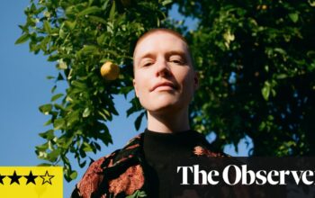 Anna Butterss: Mighty Vertebrate review – jazz meets post-rock on shape-shifting delight