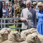 Barbecue, kangaroo pies and Jimmy Barnes: Charles and Camilla go quintessentially Australian for final day of tour