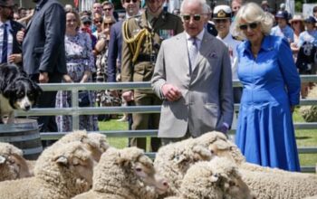 Barbecue, kangaroo pies and Jimmy Barnes: Charles and Camilla go quintessentially Australian for final day of tour