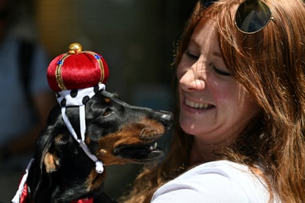 Natalie Hulford holds Captain Bigglesworth while waiting for Charles and Camilla in Sydney.