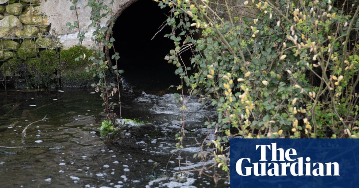 English water system singled out for criticism by UN special rapporteur