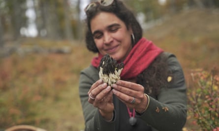 Fungi could be given same status as flora and fauna under conservation plan