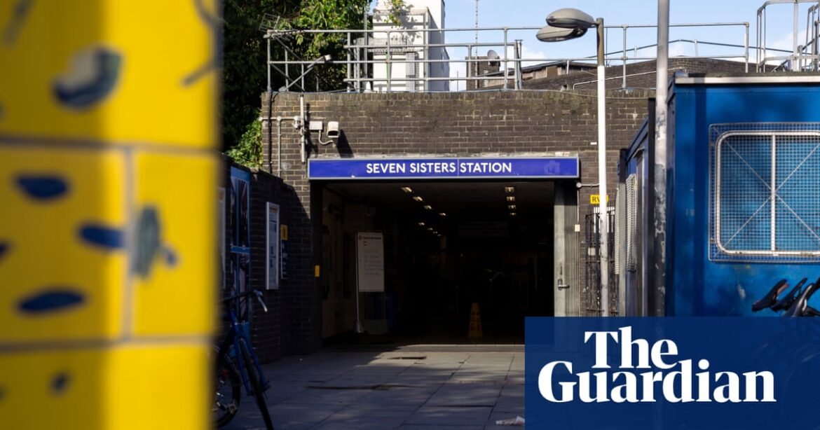 Man arrested over alleged sexual assault on Tottenham fan on train