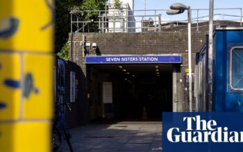 Man arrested over alleged sexual assault on Tottenham fan on train